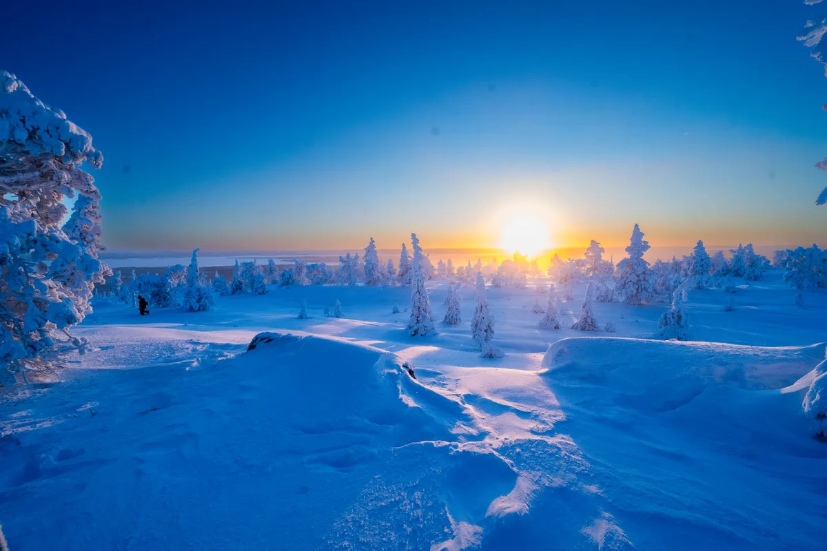 Low winter sun over the snow-covered fells of Riisitunturi National Park