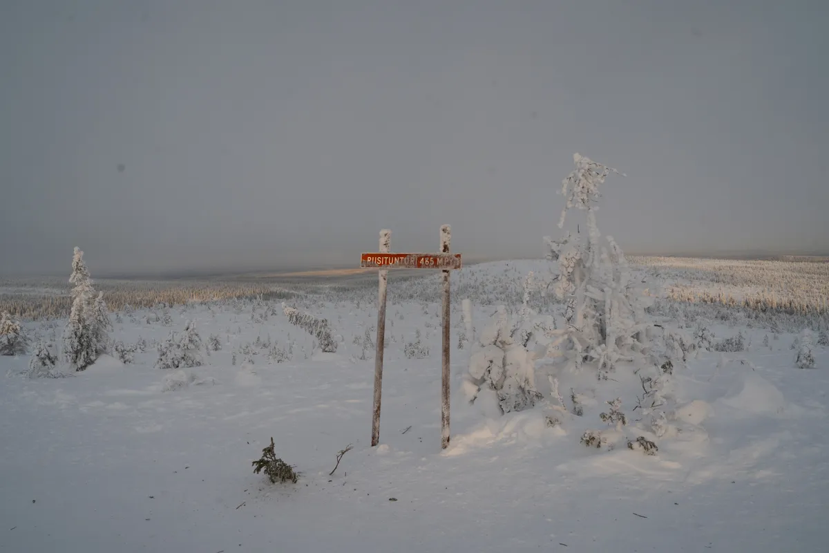 Trail signpost on the marked 4.3 km route in Riisitunturi National Park